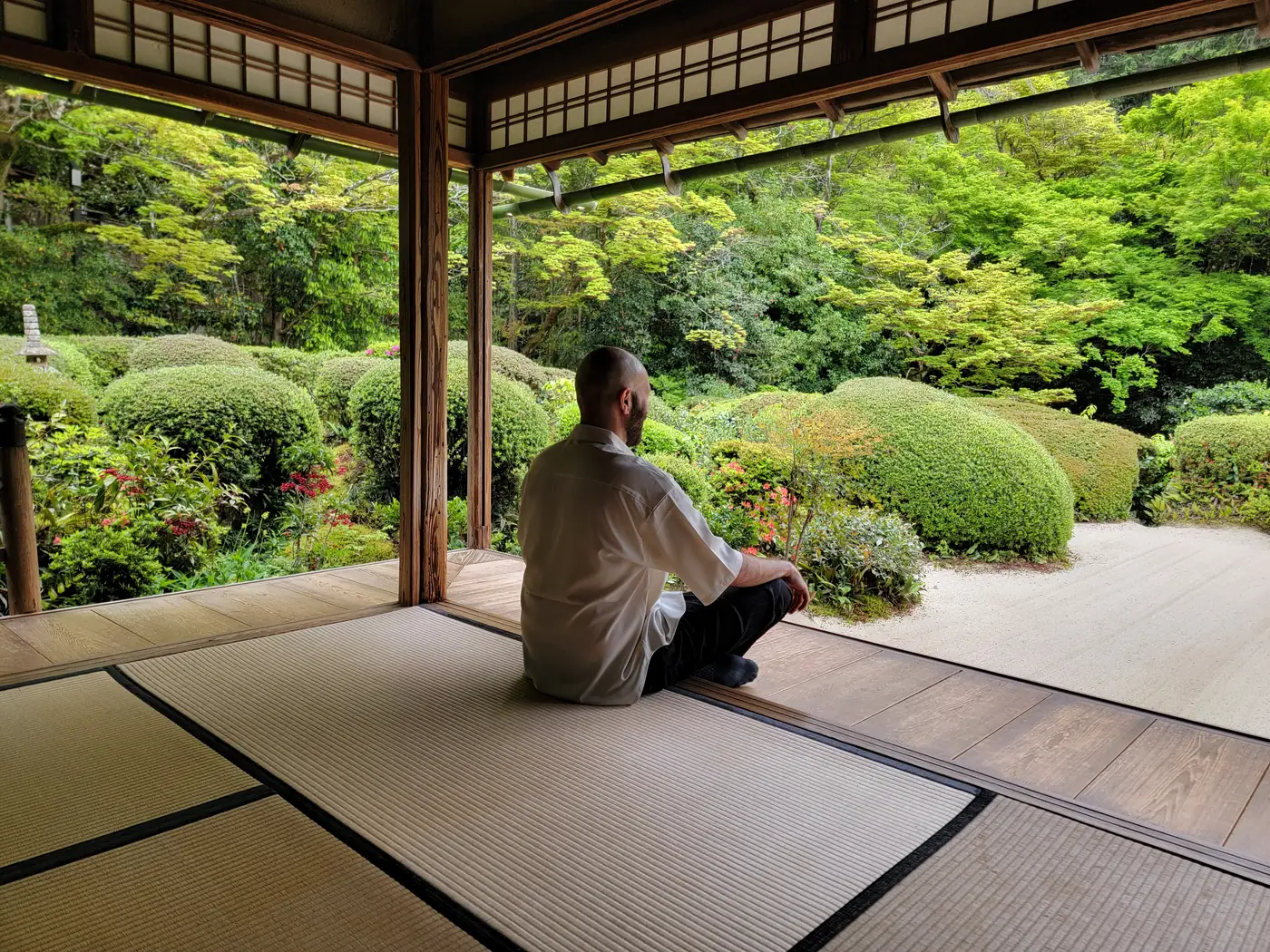 Dr. Sarparast sitting in meditation on a tatami floor, facing a green garden